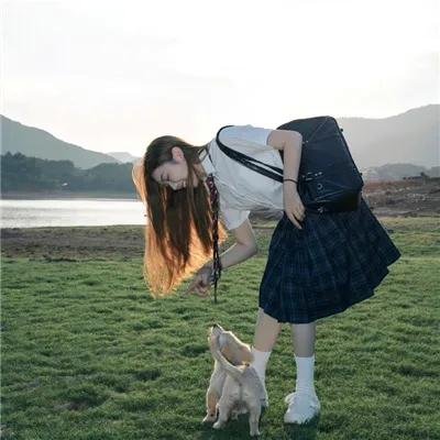 香豌豆