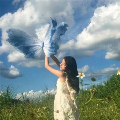 迷魂枭雄